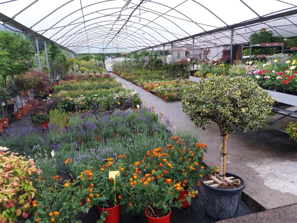 Centro de xardinería e viveiro de plantas en Ponteareas